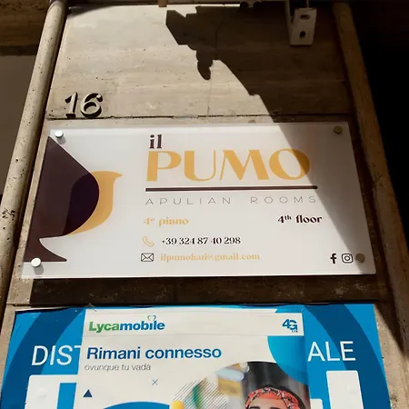 Pensiune Il Pumo - Apulian Piazza Moro 16